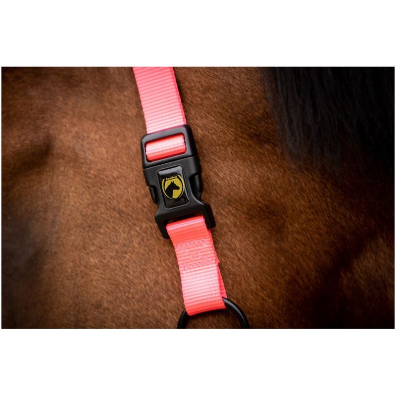 Excellent Horse Superior Halter W/ Fleece Pink